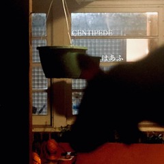 Centipede