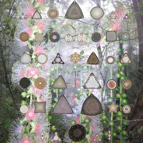 forest of silence [ruins sferic]