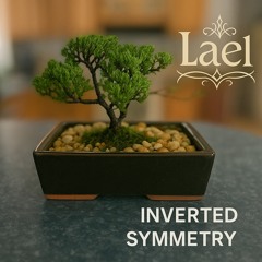 Inverted Symmetry