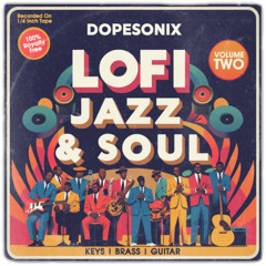LoFi Jazz & Soul Vol 02 [100 Original Samples & Loops]