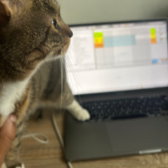 bota püt4 pra senta (mc neguin da 20 & mc gw)