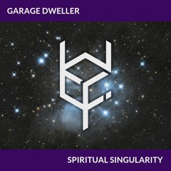 Garage Dweller - Spiritual Singularity (cubewireframe 2YA)