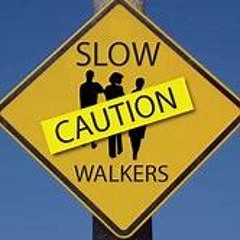 Slow Walker