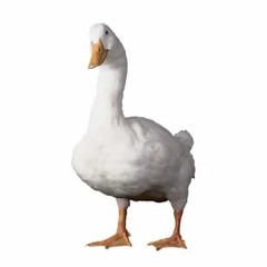AudioCombatS2E4 - LoveYouSo DuckRemix