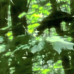 COD's 2024 HIGHLIGHTS