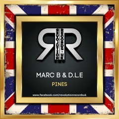 MARC B & D.L.E - PINES (OUT NOW)