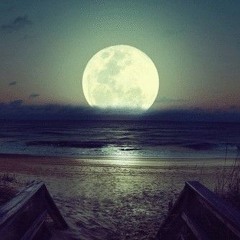 uri t. - sleepwalking cover