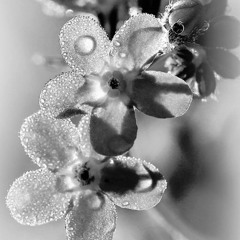 Techno Set Session # 01