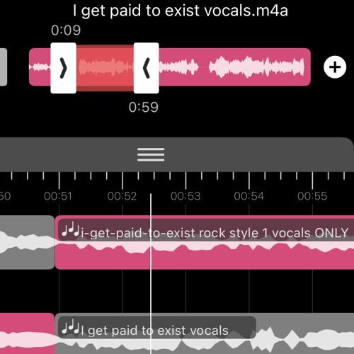 I Get Paid to Exist