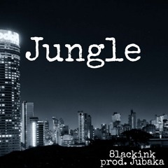 real slim shady remix (jungle promo)
