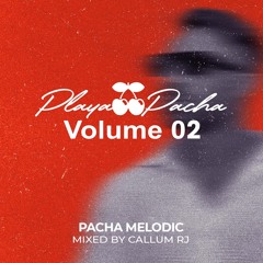 PLAYA PACHA VOLUME 02 - PACHA MELODIC