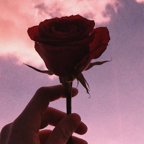 Stream Lights Camera Action Lana Del Rey 𝑟𝑒𝑣𝑒𝑟𝑏 𝑐𝑙𝑖𝑝 by Trash