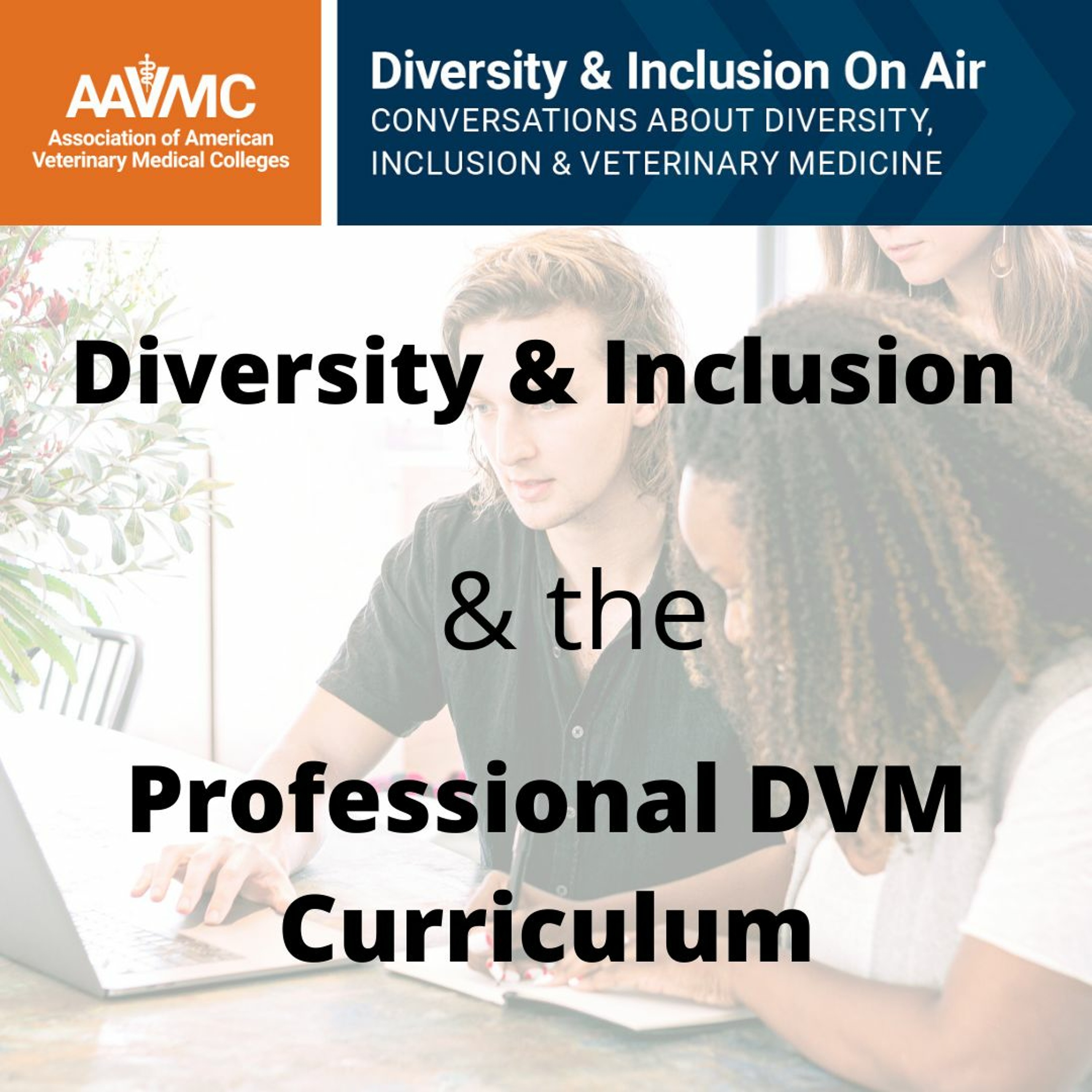 AAVMC\'s On Air: Conversations about Issues in Veterinary Medicine