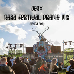 Rosa Festival Promo Mix - Dory (Ragga Dnb)