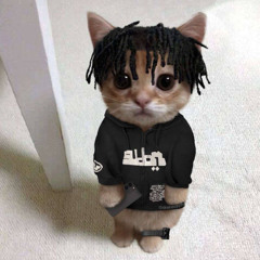 Ace Giani - trap or die  ʕ ᵔᴥᵔ ʔ