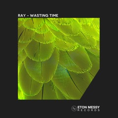 Ray - Wasting Time [Eton Messy Records]