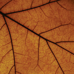 post black metal/post metal/blackgaze/doom/sludge/progressive metal/etc. - 3