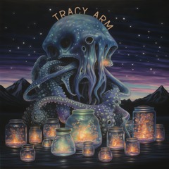 03 - Tracy Arm - Consequence