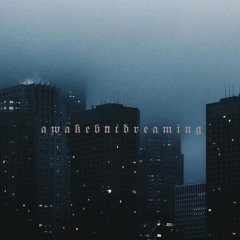 awake but dreaming