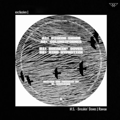 exclusive | M.S. - Breakin' Doves | Rawax