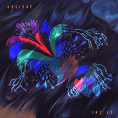 Ursidae - Indigo