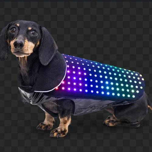 Dog Ate My Disco - Volume 6 (Mo-Fo's Crave The Rave Tech House Bangers Mix)