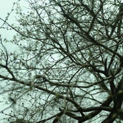 Log_20230317（demo）