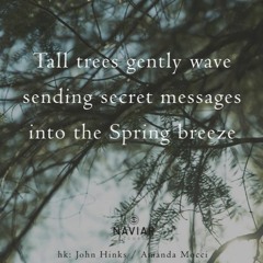 Spring Breeze [NaviarHaiku439]