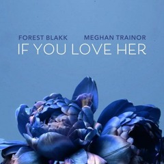 Forest Blakk - If You Love Her (feat. Meghan Trainor) (Damboo Remix)