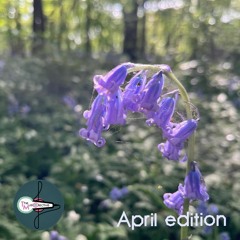 TMC Records - April 2022 playlist