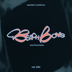 BEACH BOYS TAPE VOL. 002