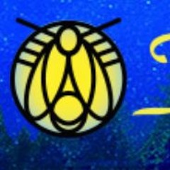 Camp Lamp FireFly July 2022