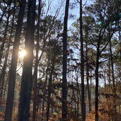 stonervibes [prod. pink]