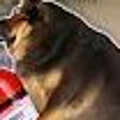 You The Motion Picture - The Scary Jokes (unreleased)