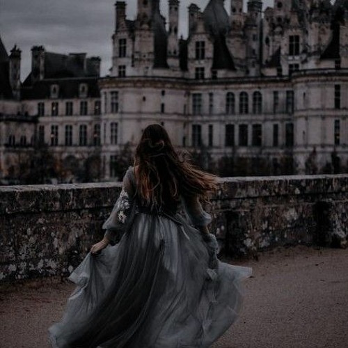 Study / Chill / Focus