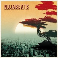 One 4 Nujabes