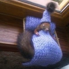 sum 2 prove (prod. Tjay!)