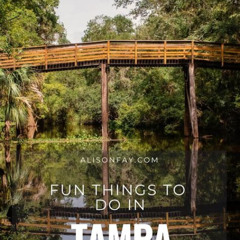 Best Things To Do In Tampa January Tours Review