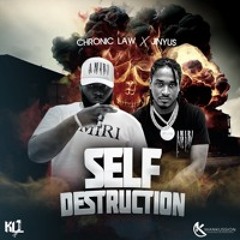 Self Destruction (ft Chronic Law)