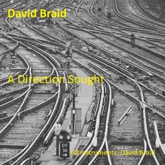 David Braid - A Direction Sought.vu