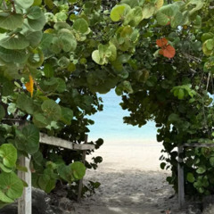 01 - (sdipia) - beatthat