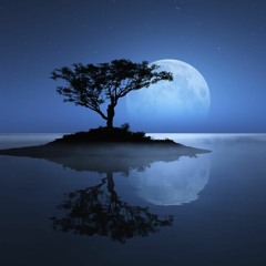 The Killers - Mr. Brightside (SRTO Remix) DOWNLOADABLE