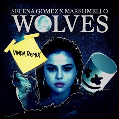WOLVES (DJ_HH REMIX)