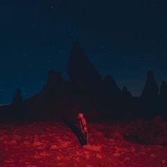 phoebe bridgers - punisher