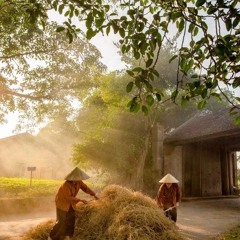 Zangzi - Kẻ Phù Dâu ( Vocal Nacie) [ Free Download ]