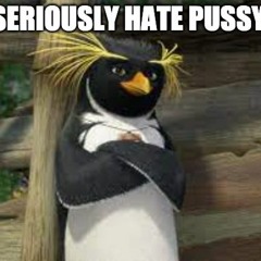 whats all this hooplah