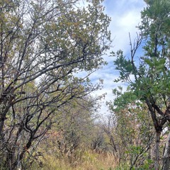 i just love uuuuuu (backtothemoney)