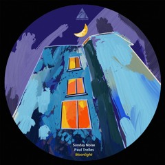 Premiere: Sunday Noise, Paul Trelles - No More [Conceptual]