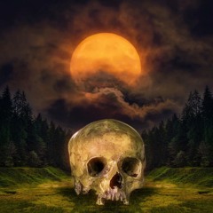 Dont fear the moon