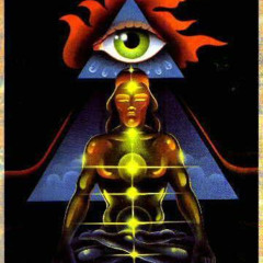 Organic Music01/25